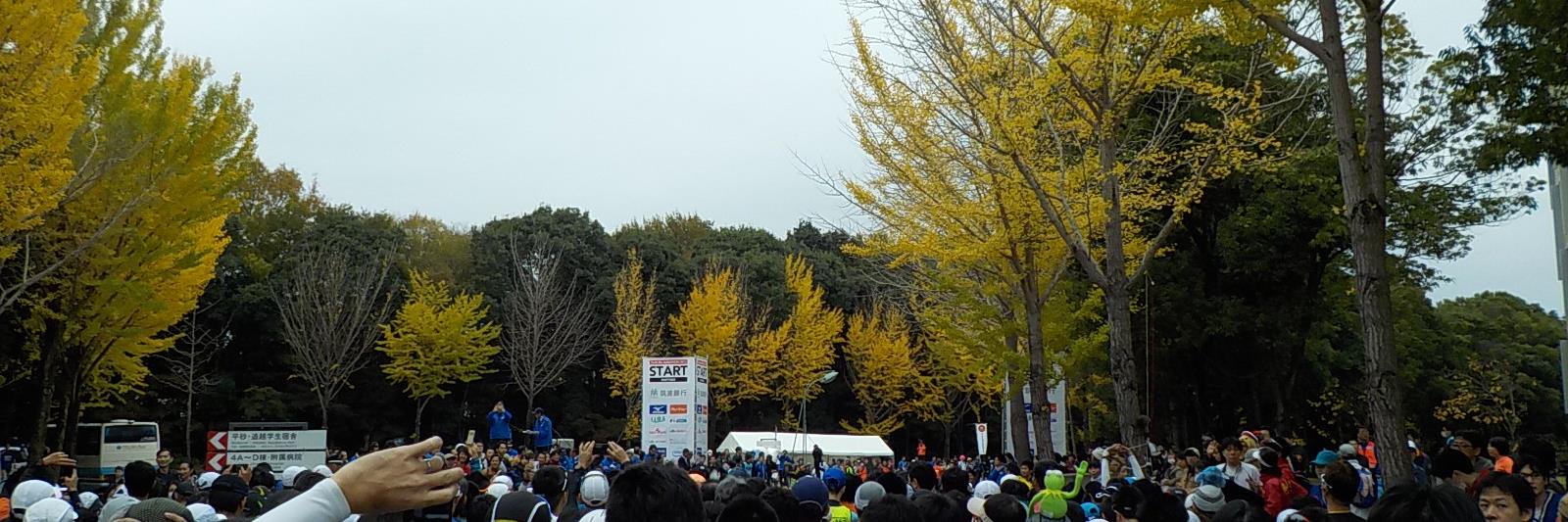 える banner