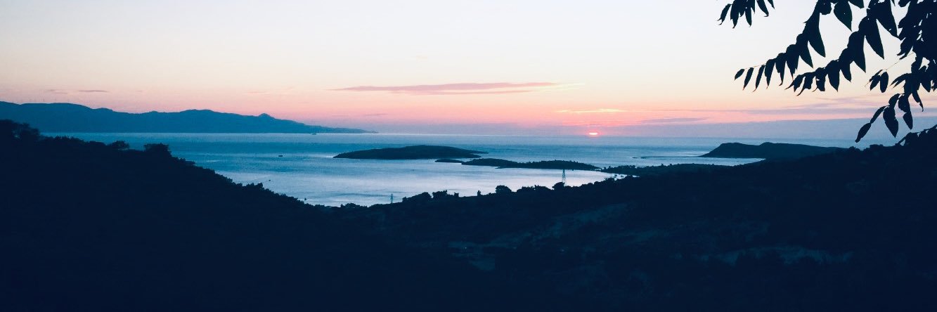 dododmtdo's profile banner image