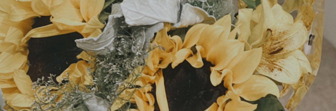anarasc0n's profile banner image