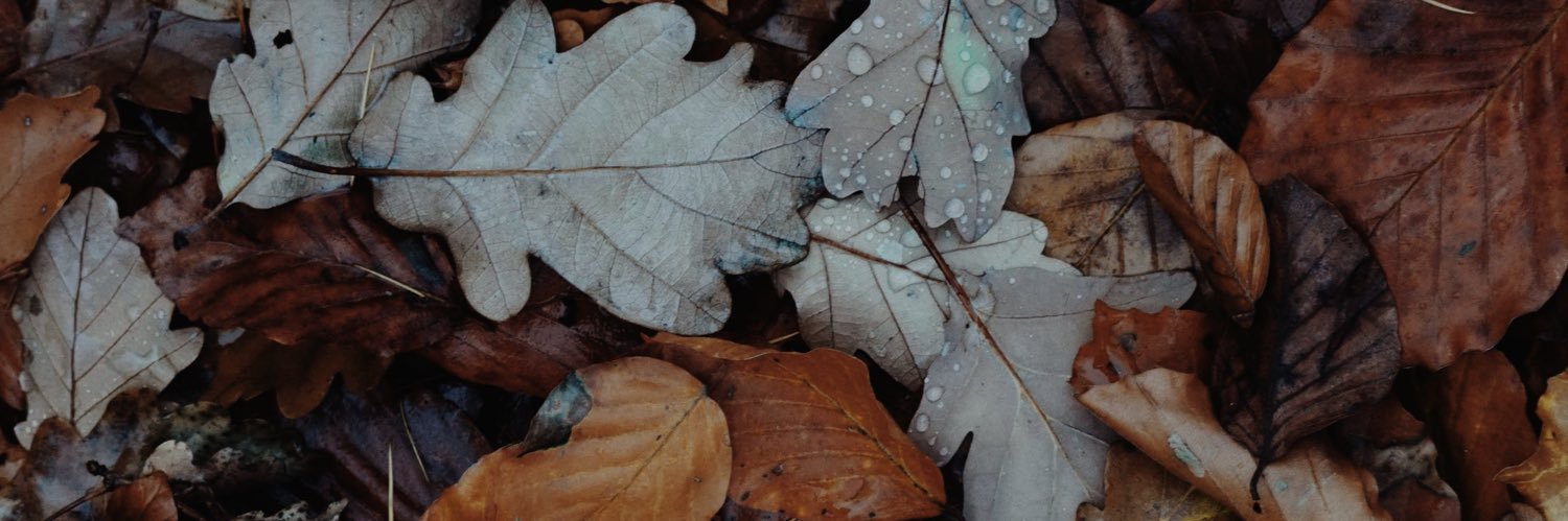 marzenizo's profile banner image