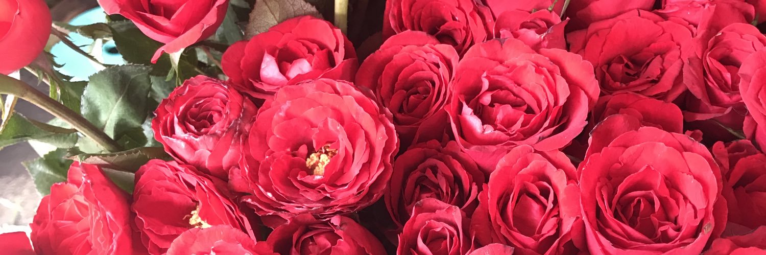antariini's profile banner image