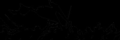Capik_Fiq's profile banner image