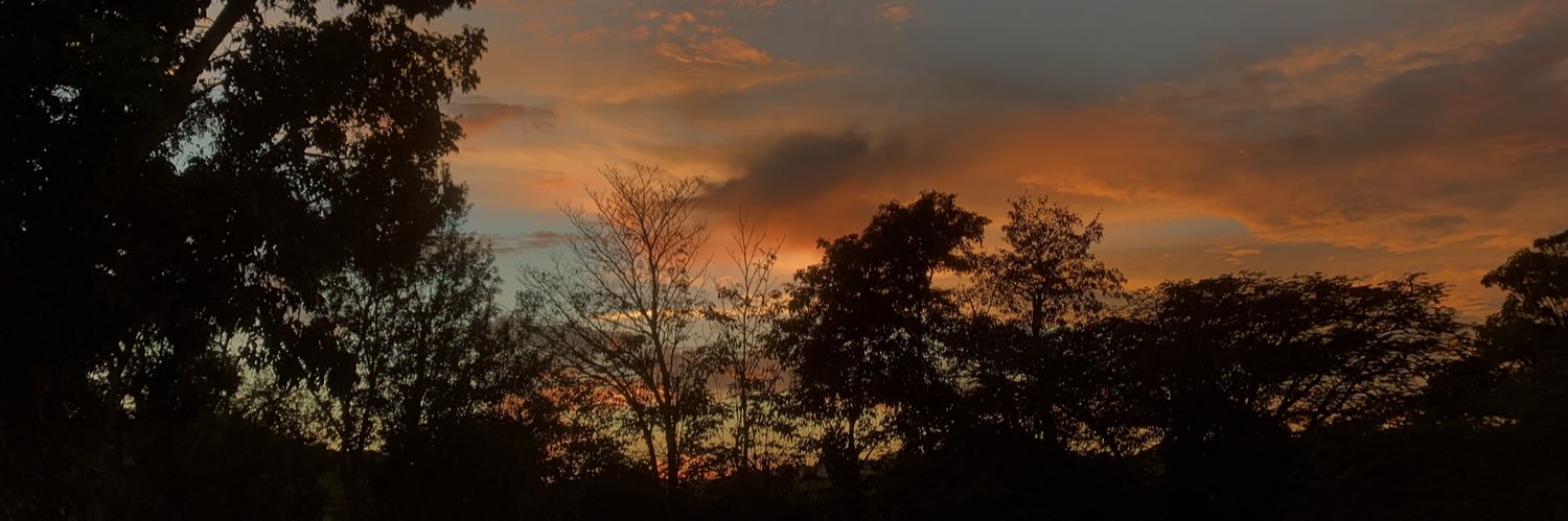 shareleiss's profile banner image