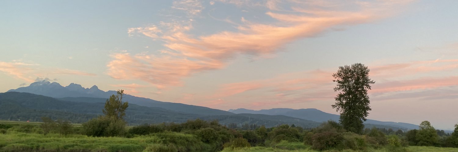 jasminegemperle's profile banner image