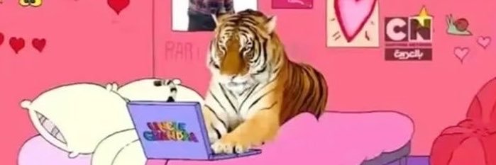 Santos_Samuel15's profile banner image