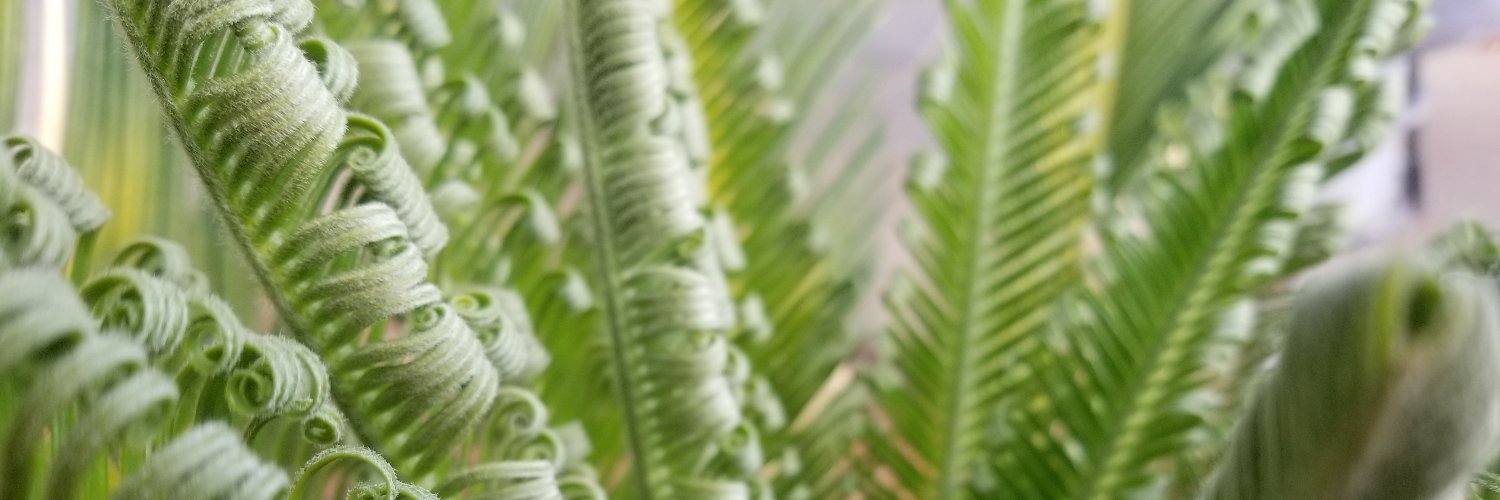 JPidgen's profile banner image