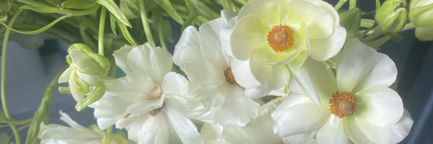 Theraputic Thizz banner