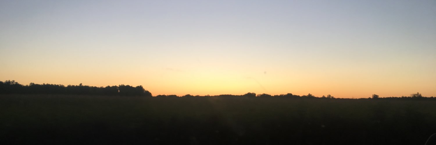 GunnisDavid's profile banner image