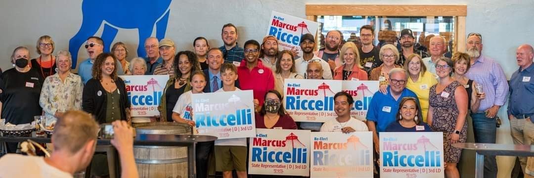Friends of Marcus Riccelli banner