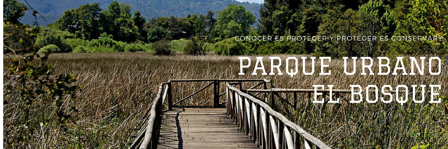PUEBValdivia's profile banner image