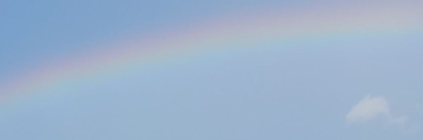 S59Veg's profile banner image