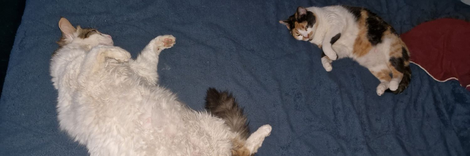 Florrg02's profile banner image