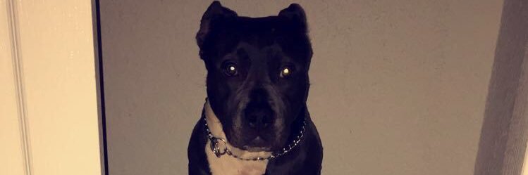 BabyDaddyTrap's profile banner image