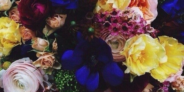 ChristinaMem's profile banner image