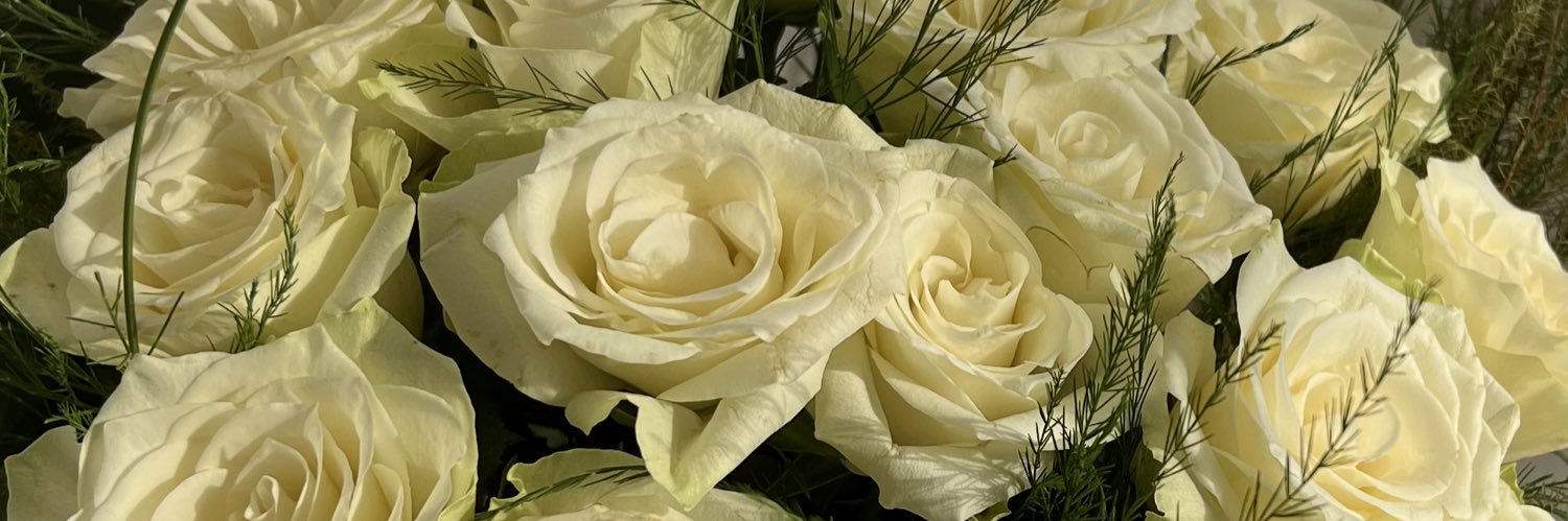 d_az1434's profile banner image