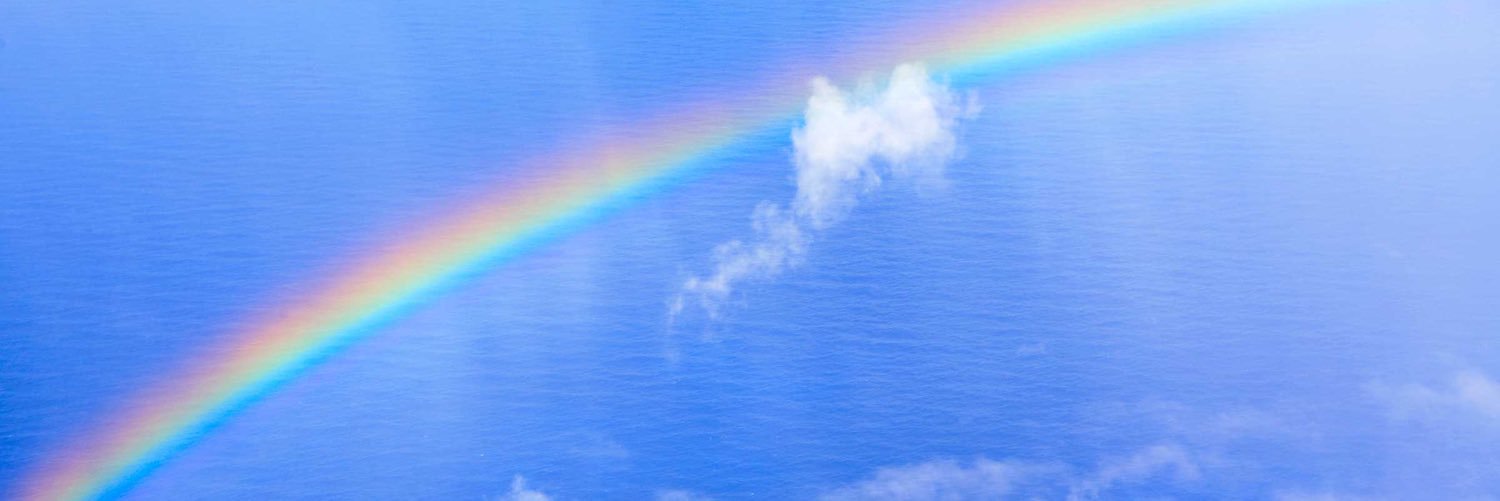 sunithaNair1111's profile banner image
