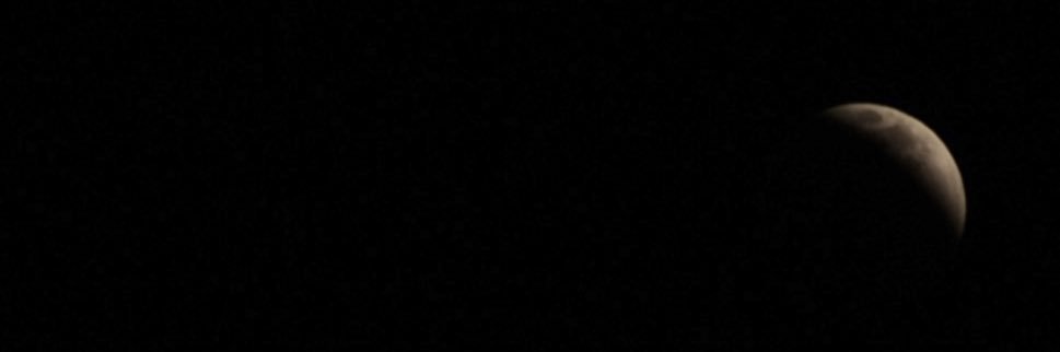 CarolinaEsc_'s profile banner image