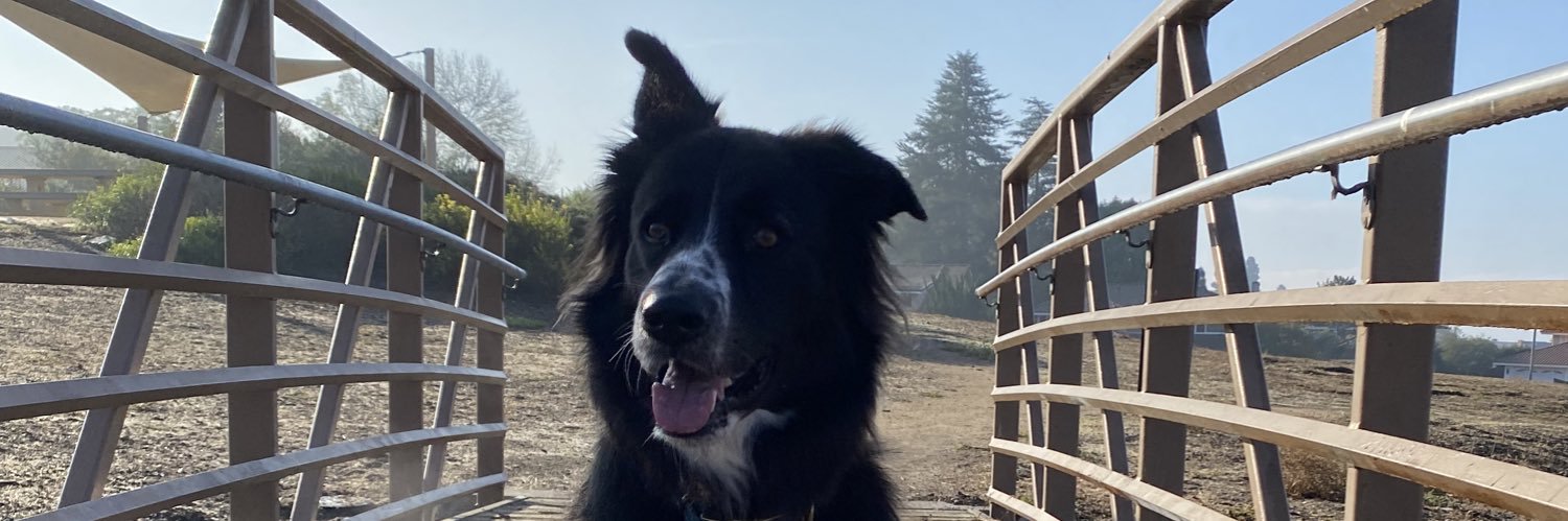 DaylynShea's profile banner image