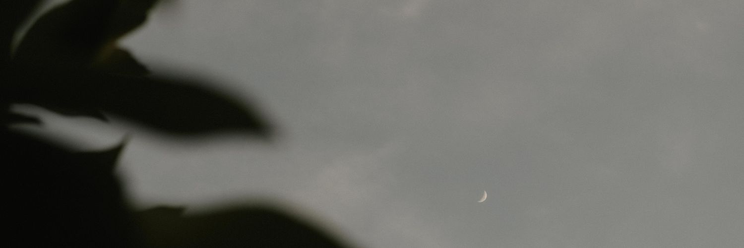 vanthegr8's profile banner image