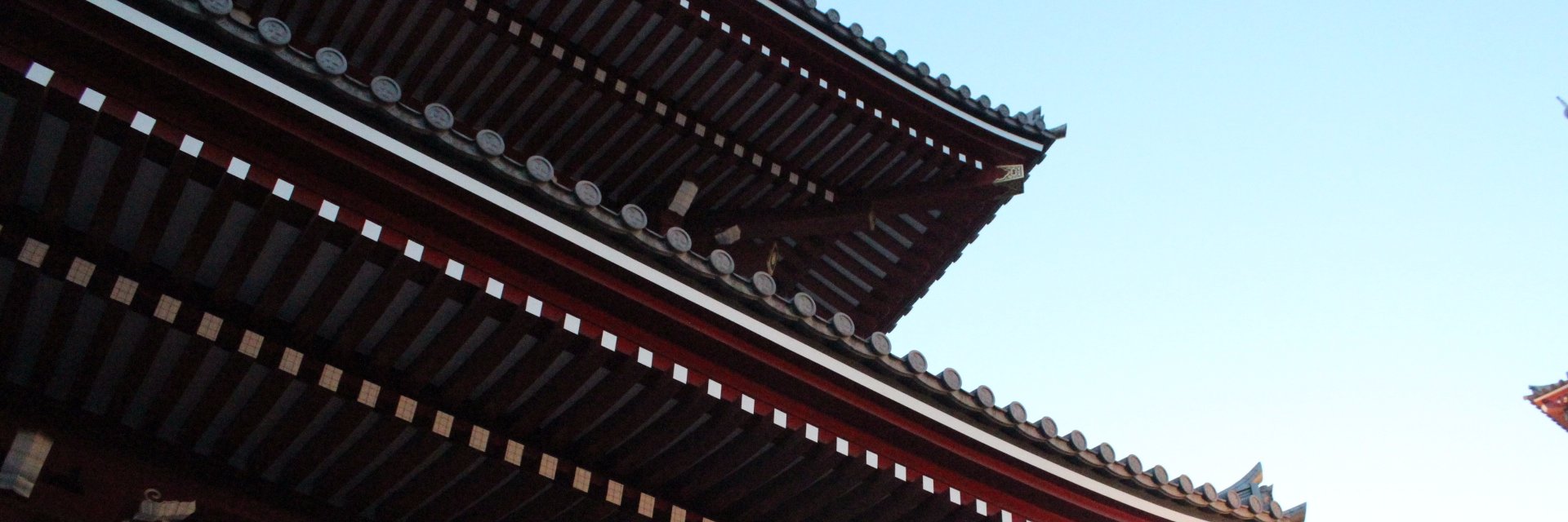 celina banner