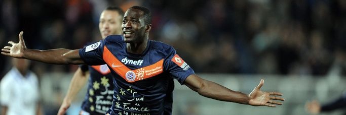 Flo 'Siro' Teiss banner