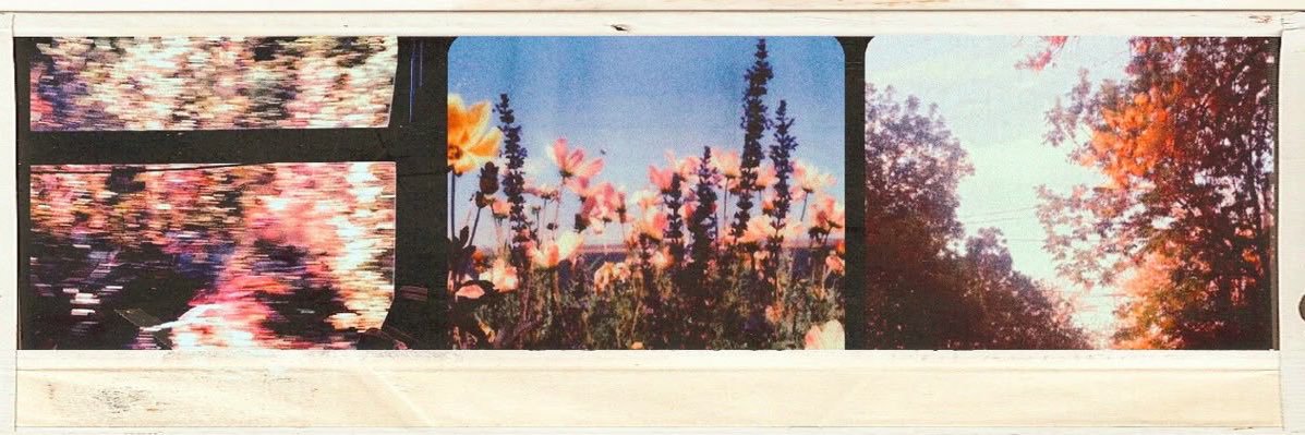 melisa on fire˚✧ banner