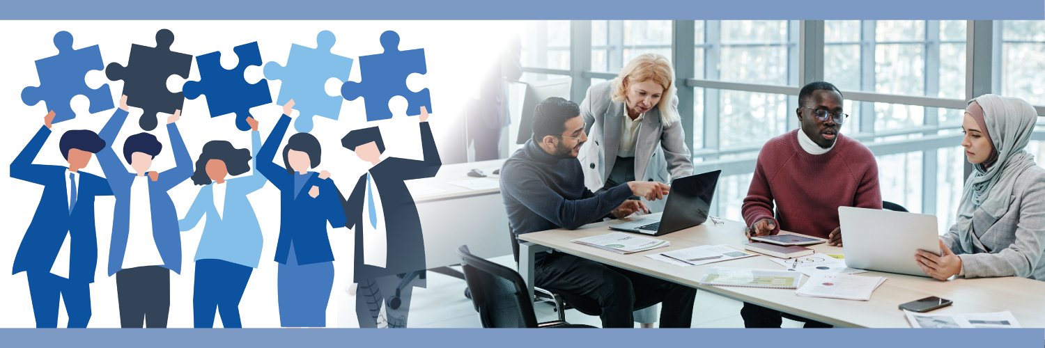 INTOSAI Development Initiative banner