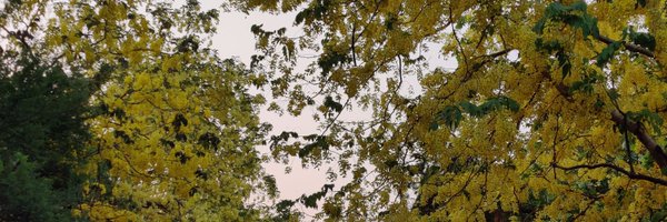 Jayati1609 Profile Banner