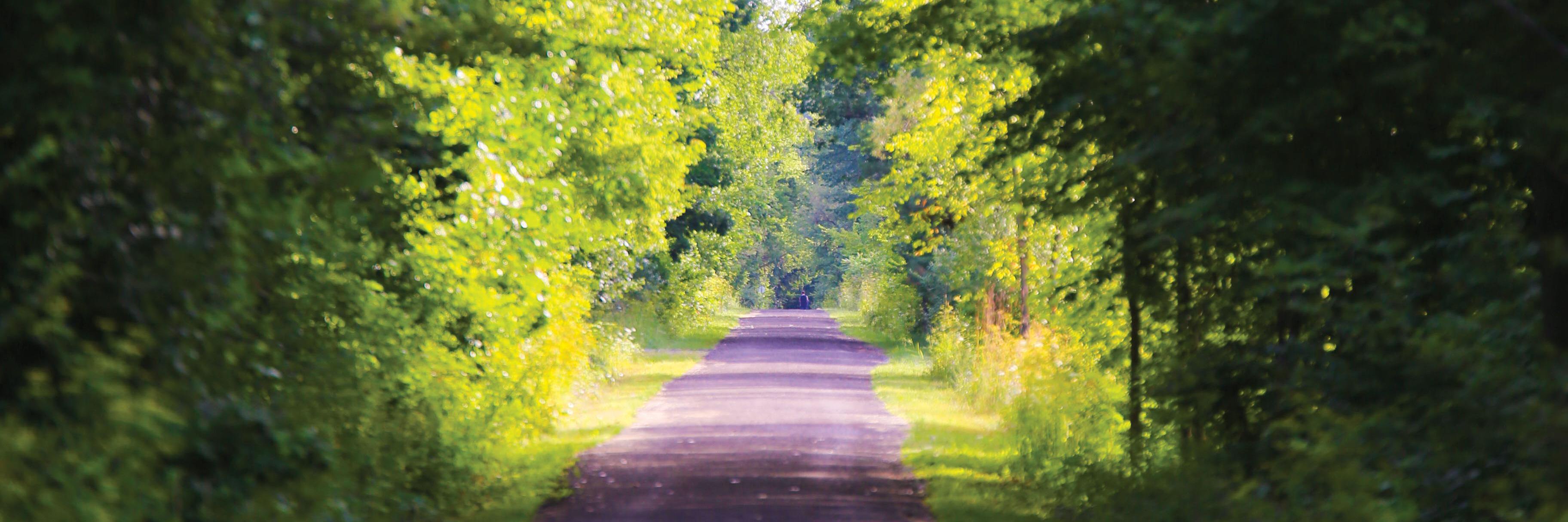 RCMissionalLead's profile banner image