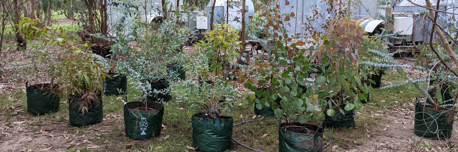 Renee Marchin Prokopavicius banner