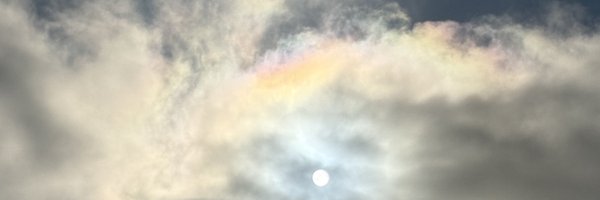 Erika_Tejeda_ Profile Banner