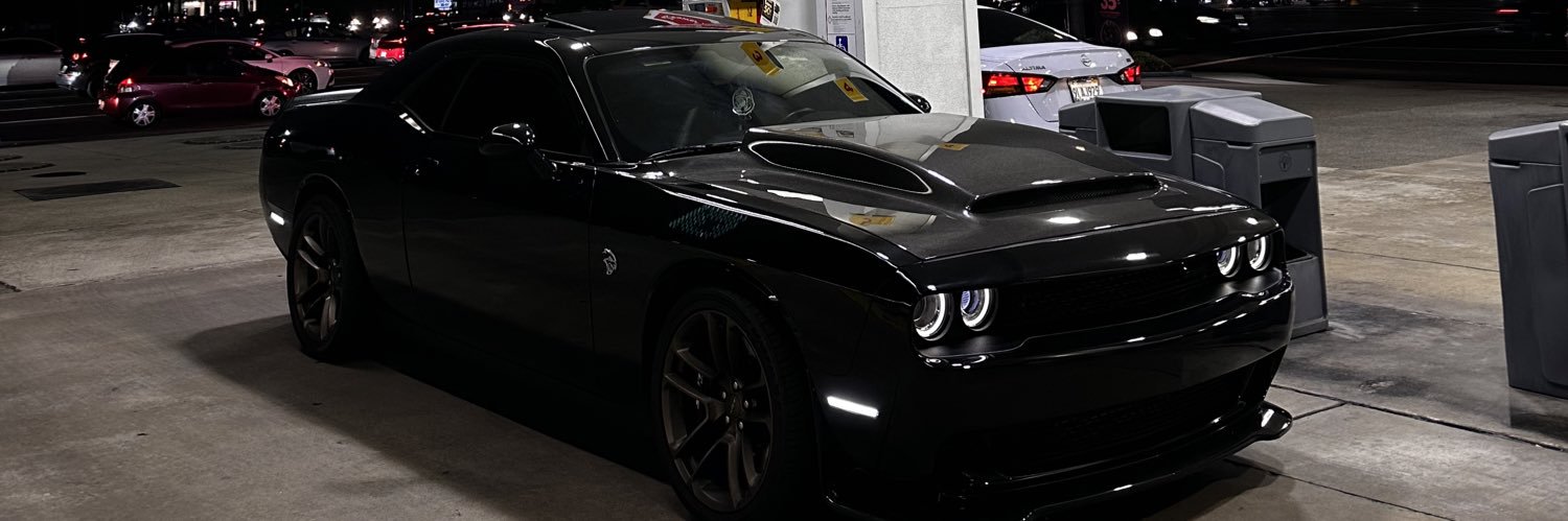 GINO AMARI 🦍 banner