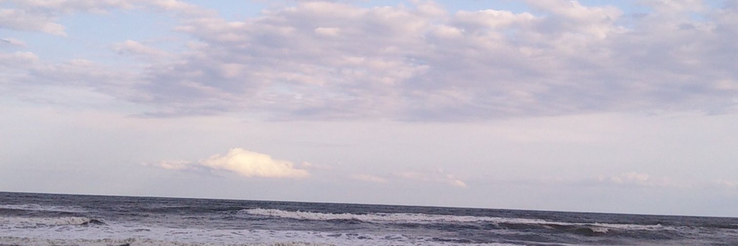 メンマ banner