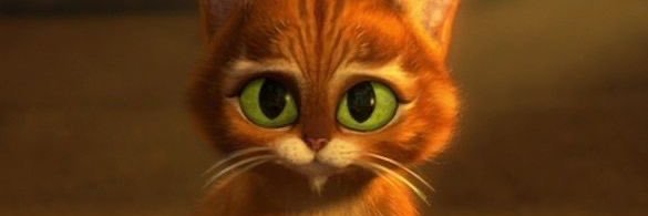 inesa la pekinesa banner