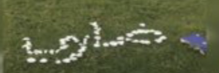 ضاري الفضلي banner