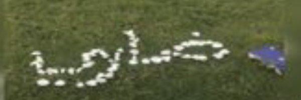Alsaeb_q8 Profile Banner