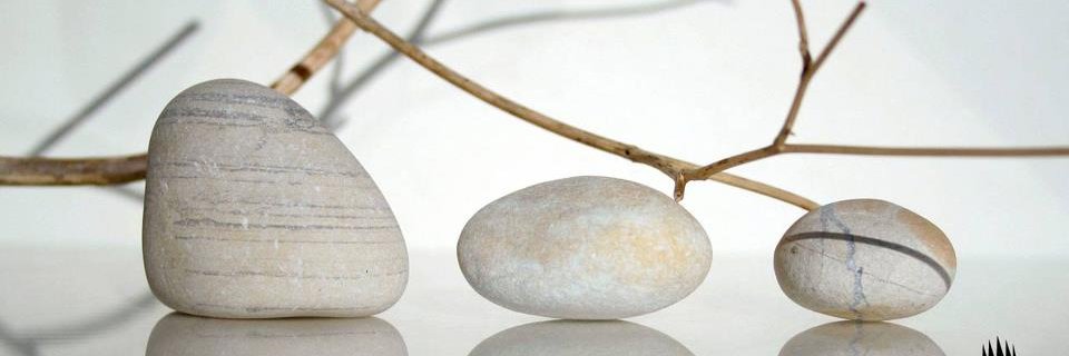 patyM45's profile banner image