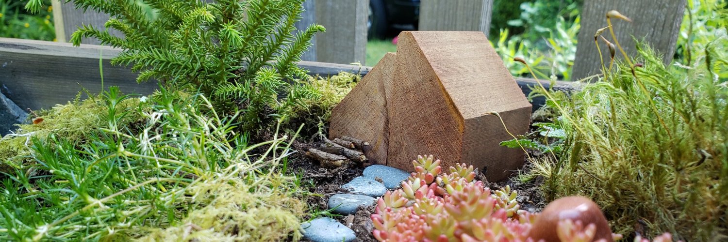 Robin Ranjit Singh Chauhan banner