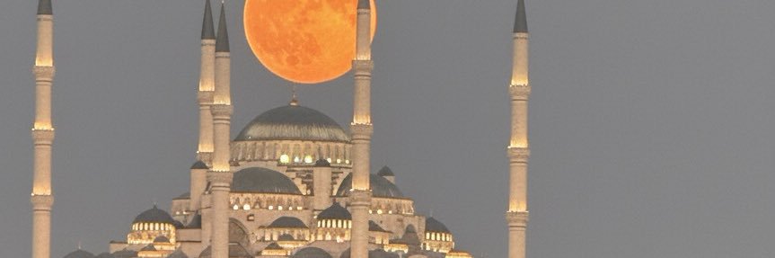 alpaycegil's profile banner image