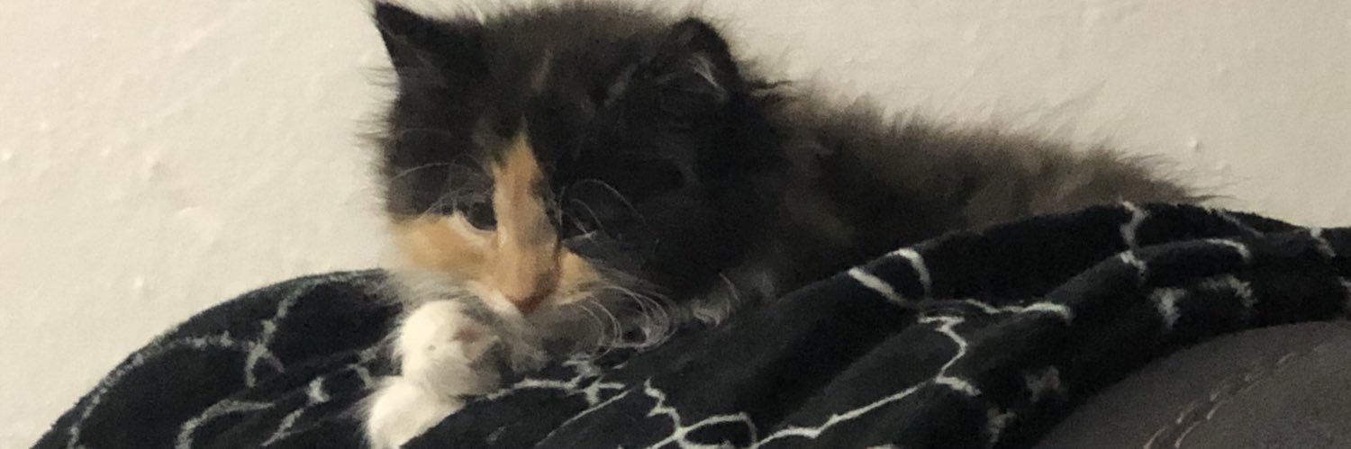 PenguinBaby33's profile banner image