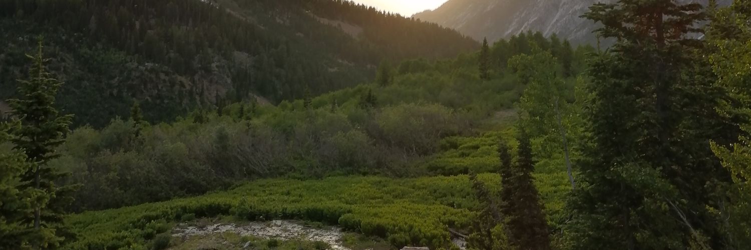 e__archibald's profile banner image