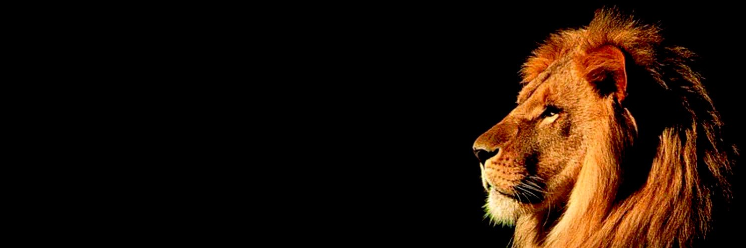 amam_gee's profile banner image