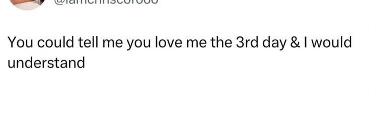 fine shii 🎀🫧⭐️. banner