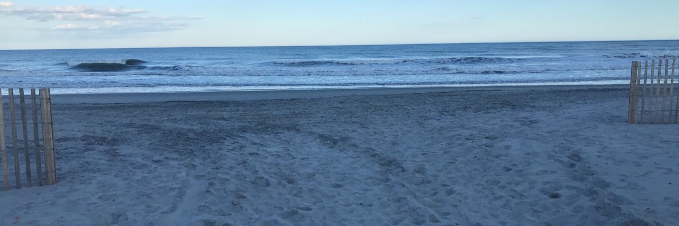 Jessica Schulty banner