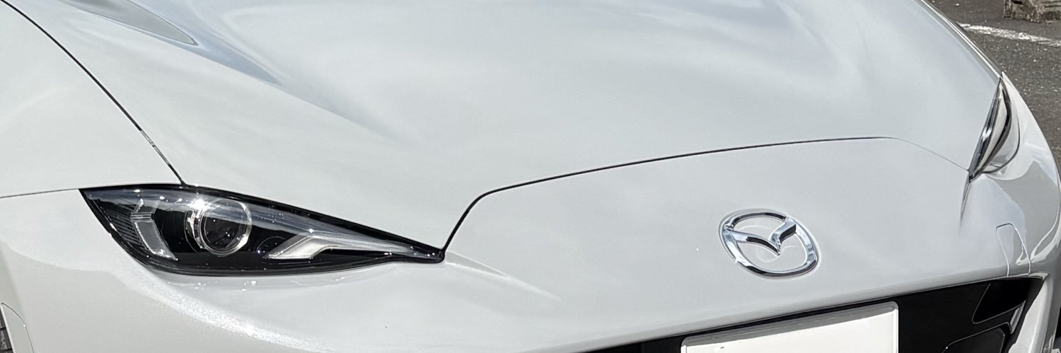 ʍoɹoɓız banner