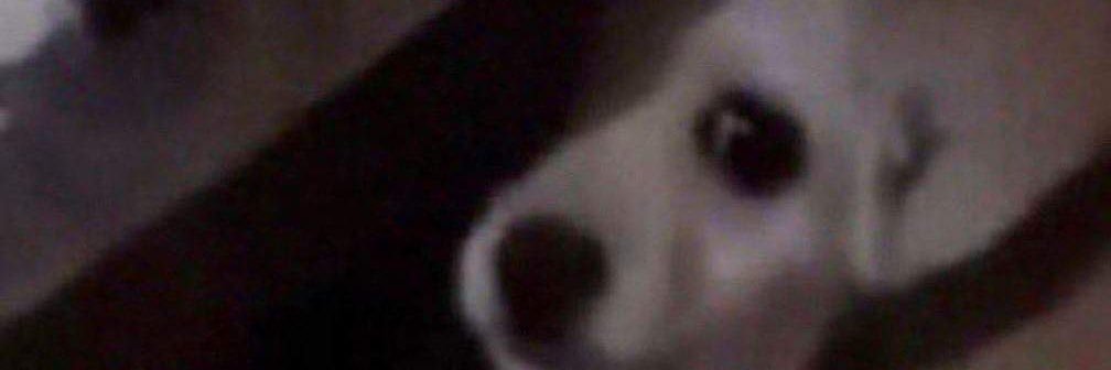 notQ9O banner