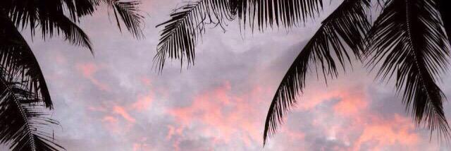 Lau banner