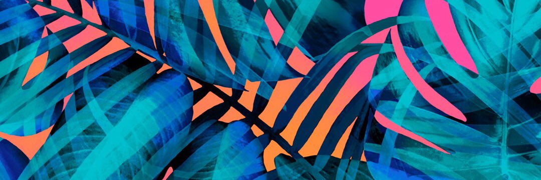 Ashley Vargas banner