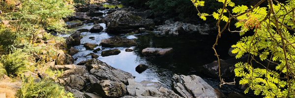 O_Rob1nson Profile Banner