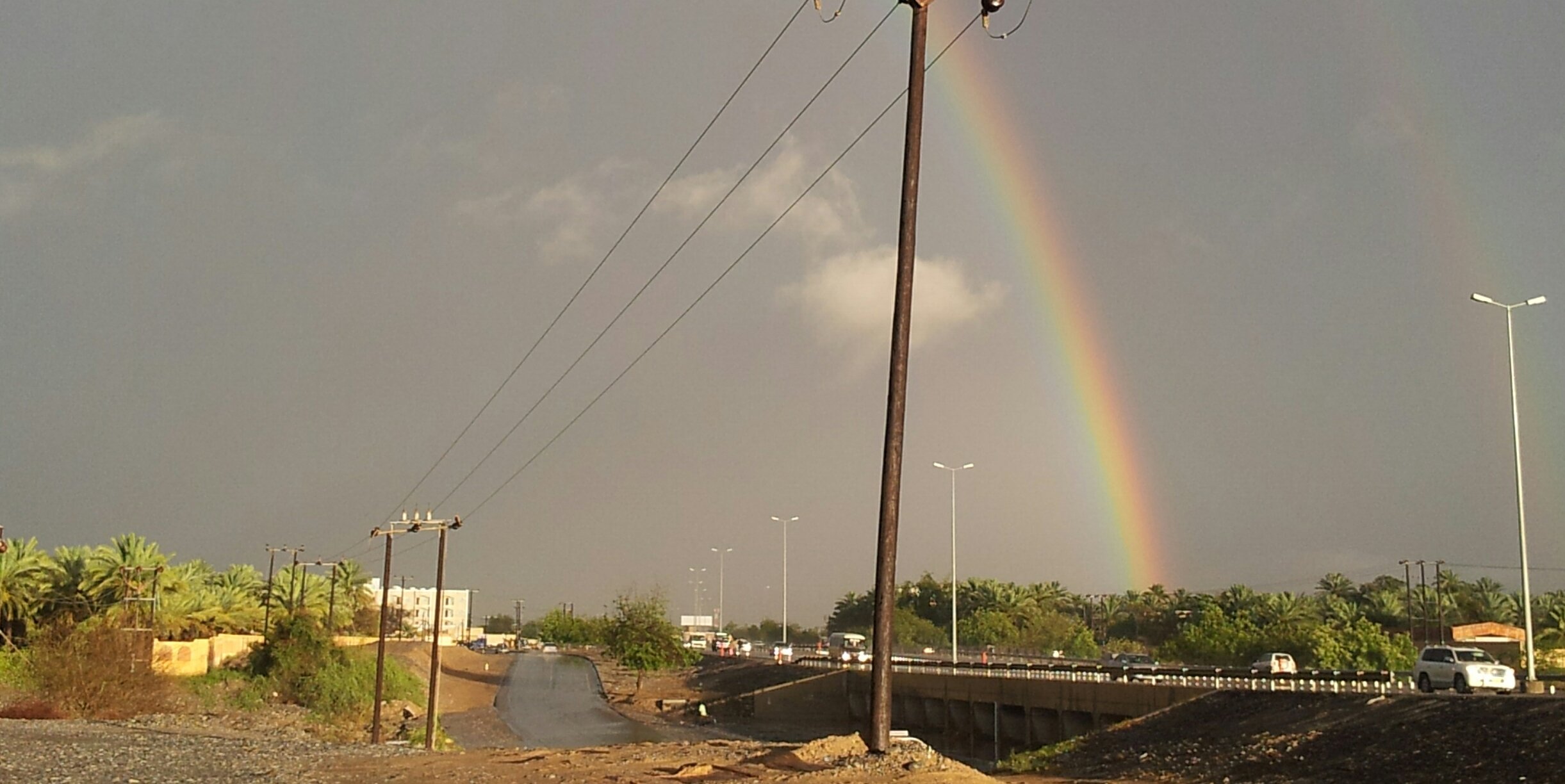saed_shabibi's profile banner image